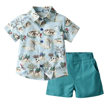 Vrh in Vrh Otroci Oblačila, ki Malo Fantje, Priložnostne 2Pcs Obleke Živali Design Majica+Kratke Hlače Otroško Hawaiian Slog Kostum